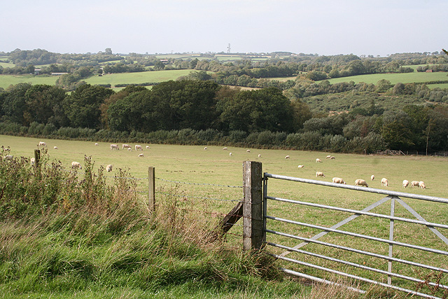 File:Creacombe, near Great Longland Plantation - geograph.org.uk - 244762.jpg