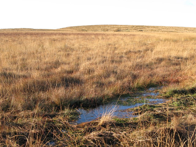 File:Damp ground east of Black Rigg - geograph.org.uk - 634993.jpg