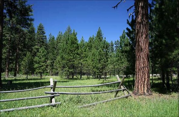 File:Deep Springs area, Ochoco National Forest, Oregon.jpg