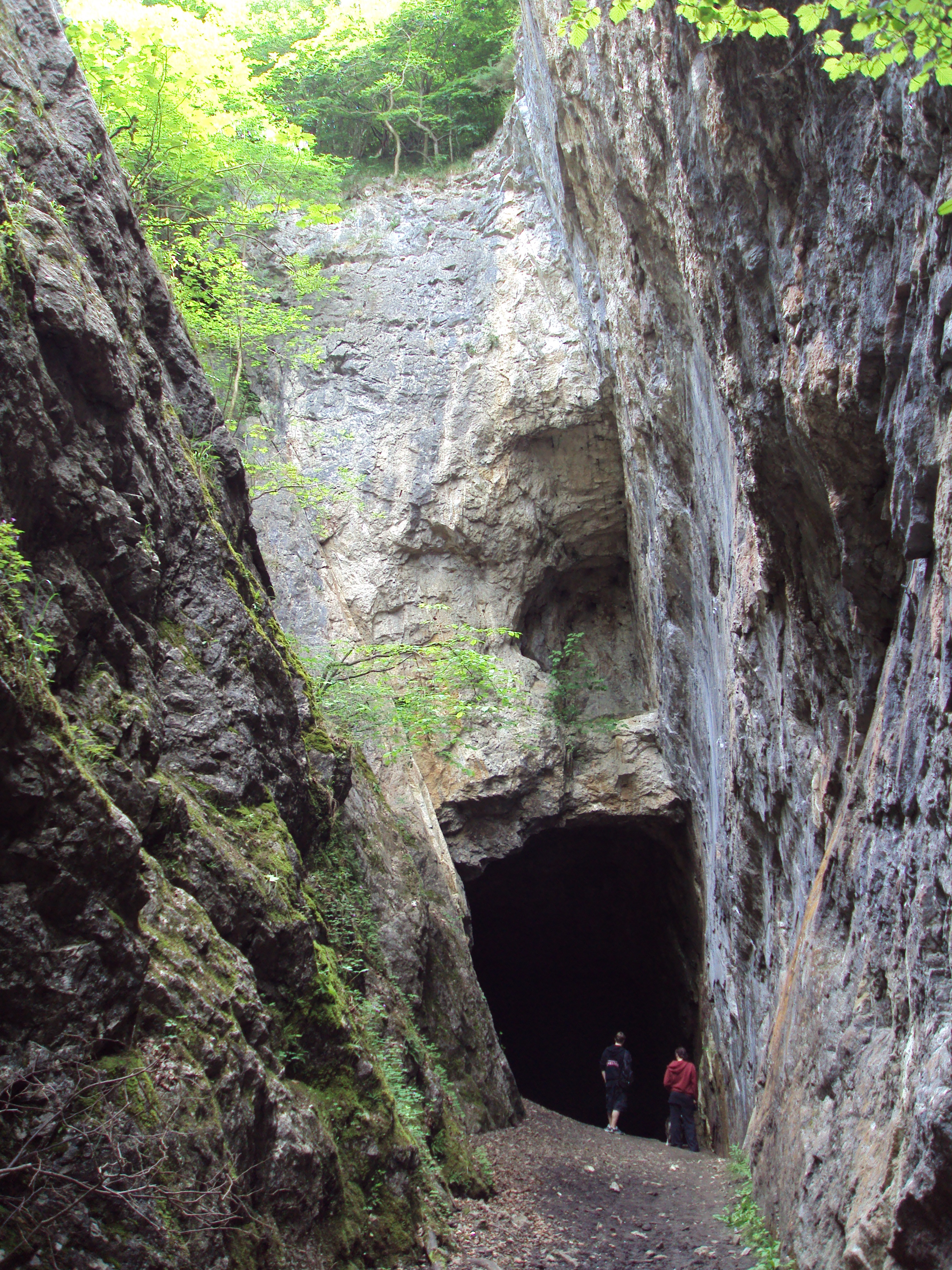 Alyn Valley Woods and Alyn Gorge Caves