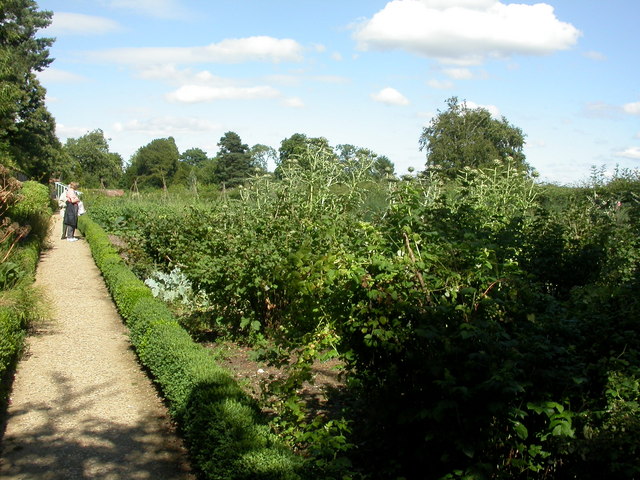 Down House, kitchen garden - geograph.org.uk - 1399173