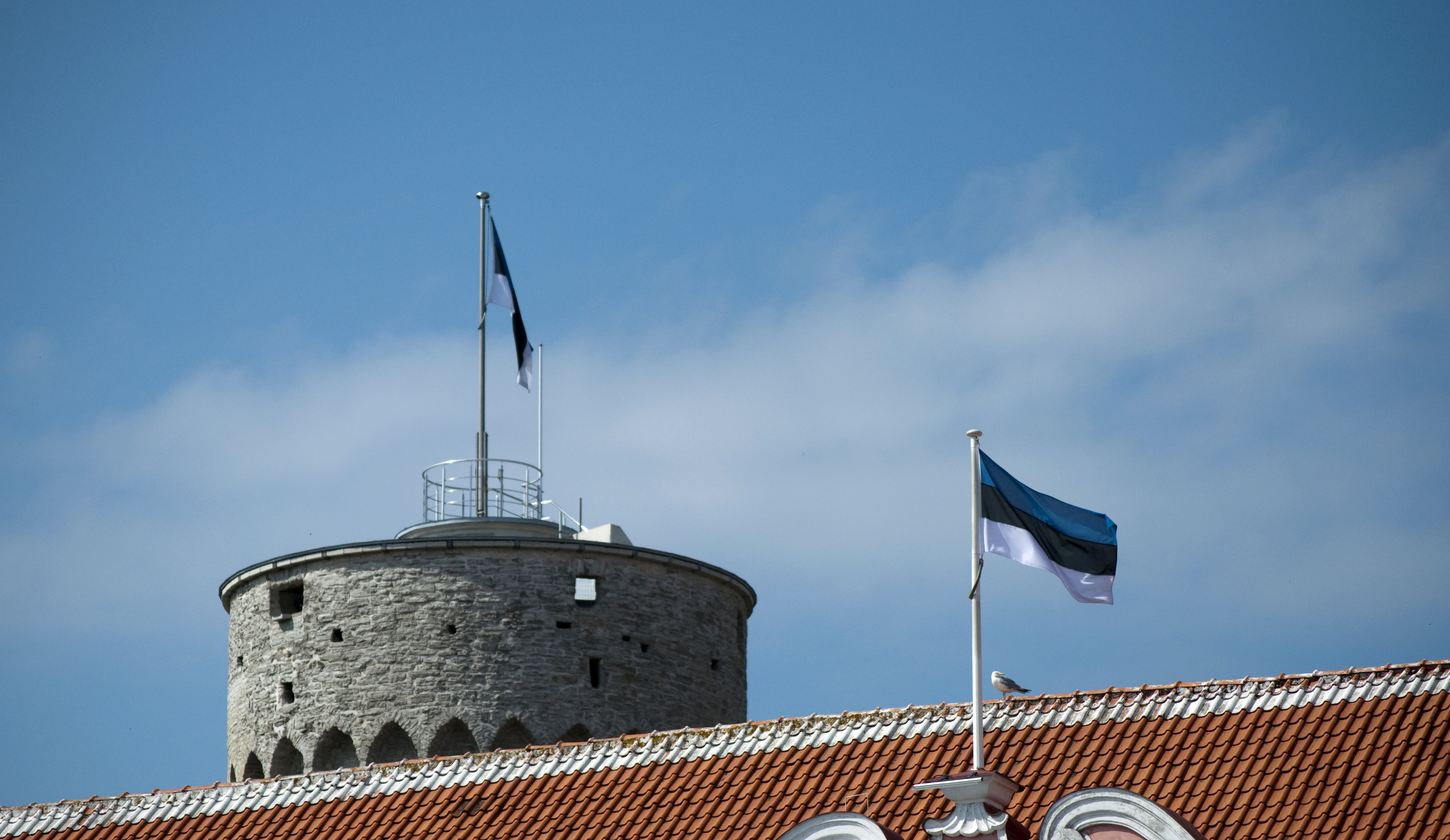 Эстония планирует. Флаг Эстонии в Таллине. Эстонец флаг Таллинн. Эстонский флаг на башне. Эстонский флаг на башне в Таллинне.