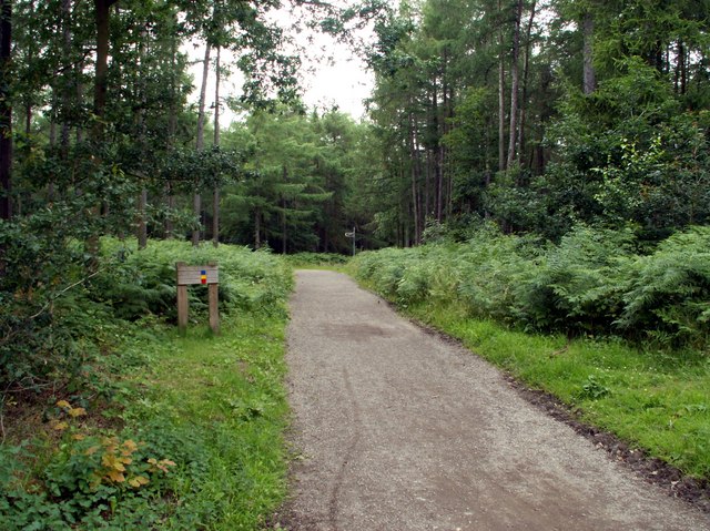 Entrance to Haw Park Woods - geograph.org.uk - 491539