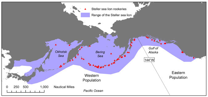 File:Eumetopias jubatus distribution.jpg