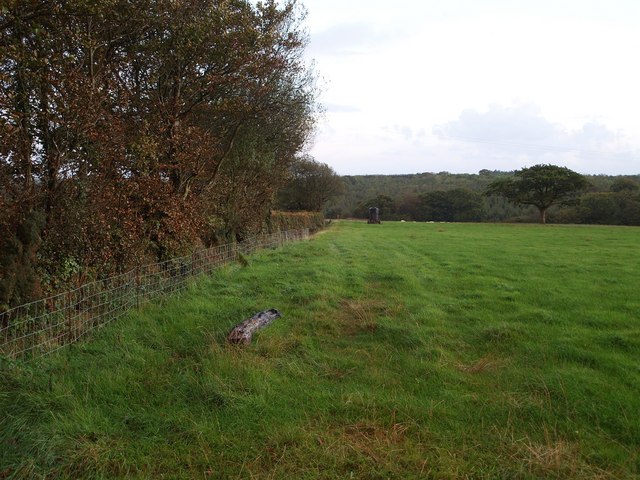 File:Field and hedge near Little Venhay - geograph.org.uk - 574169.jpg