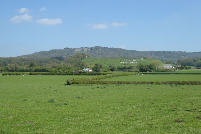 Field near Sutton-Under-Whitestonecliffe - geograph.org.uk - 5764260