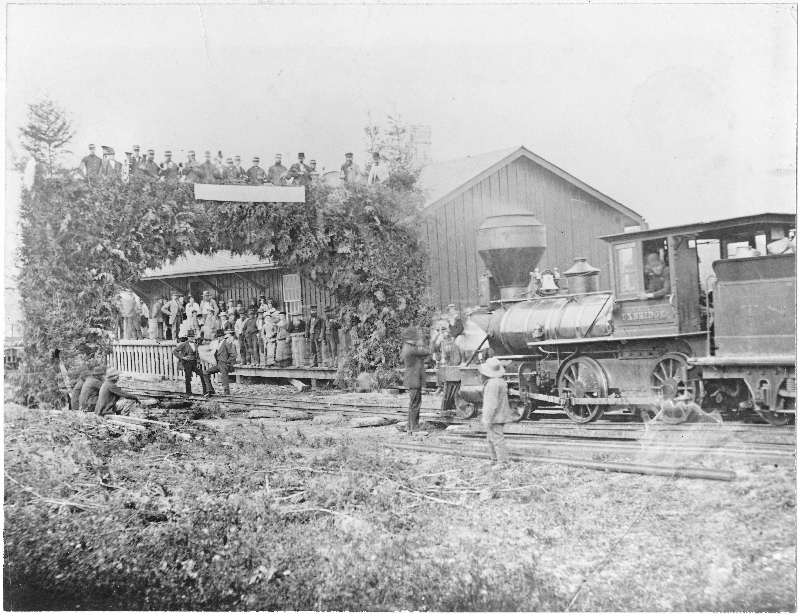 Lake Simcoe Junction Railway