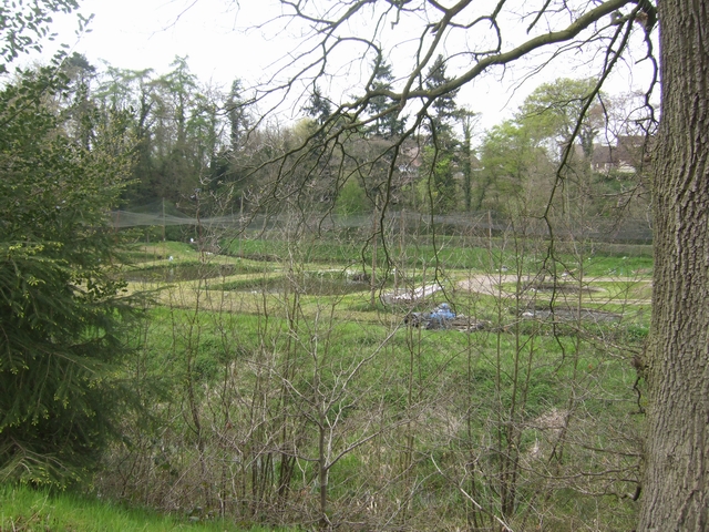 File:Fish farm - geograph.org.uk - 788691.jpg