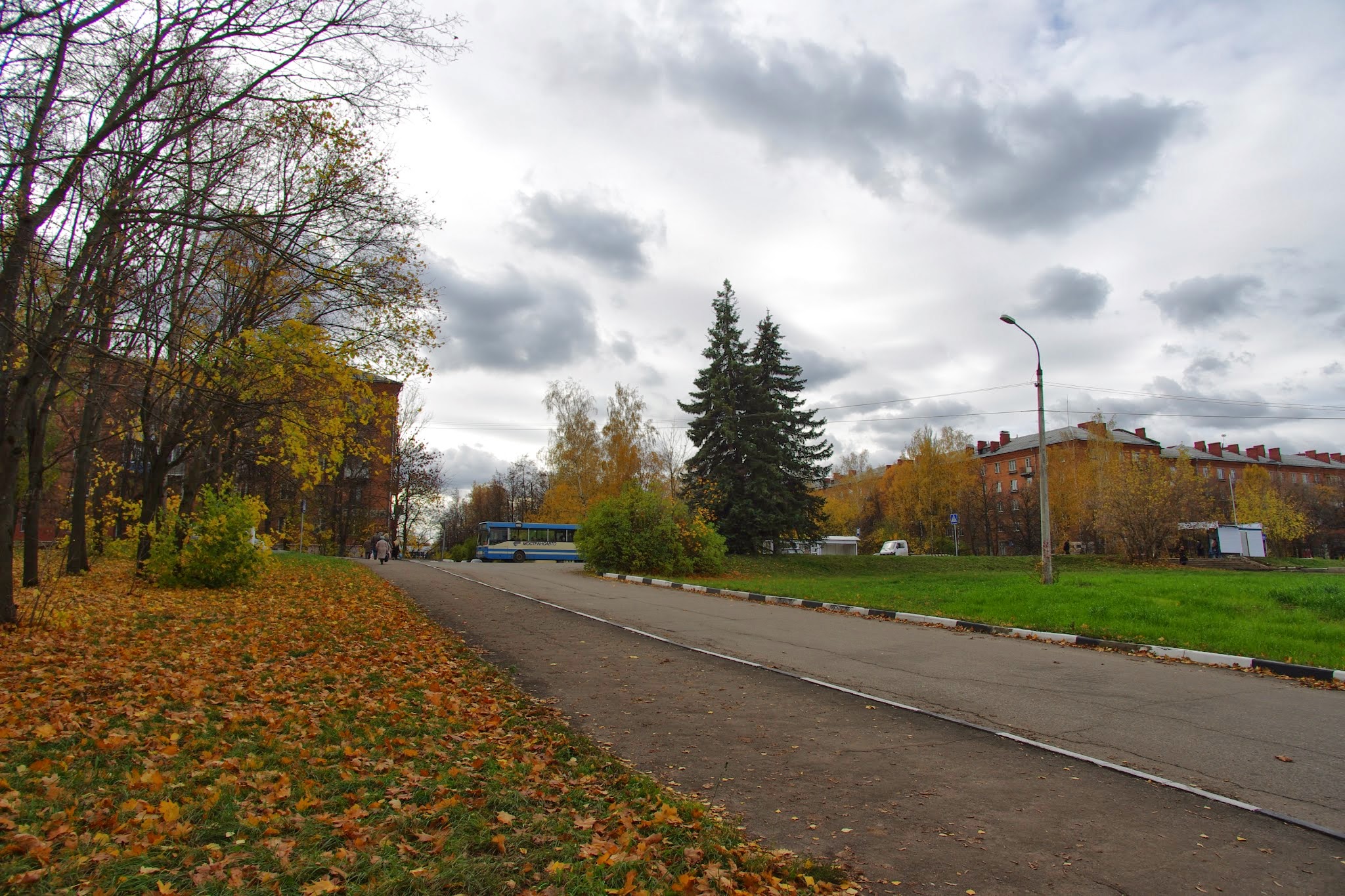 Московская область улица южная. Полянка, Фрязино.