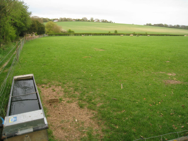 File:Grazing field - Mapledurwell - geograph.org.uk - 2467602.jpg