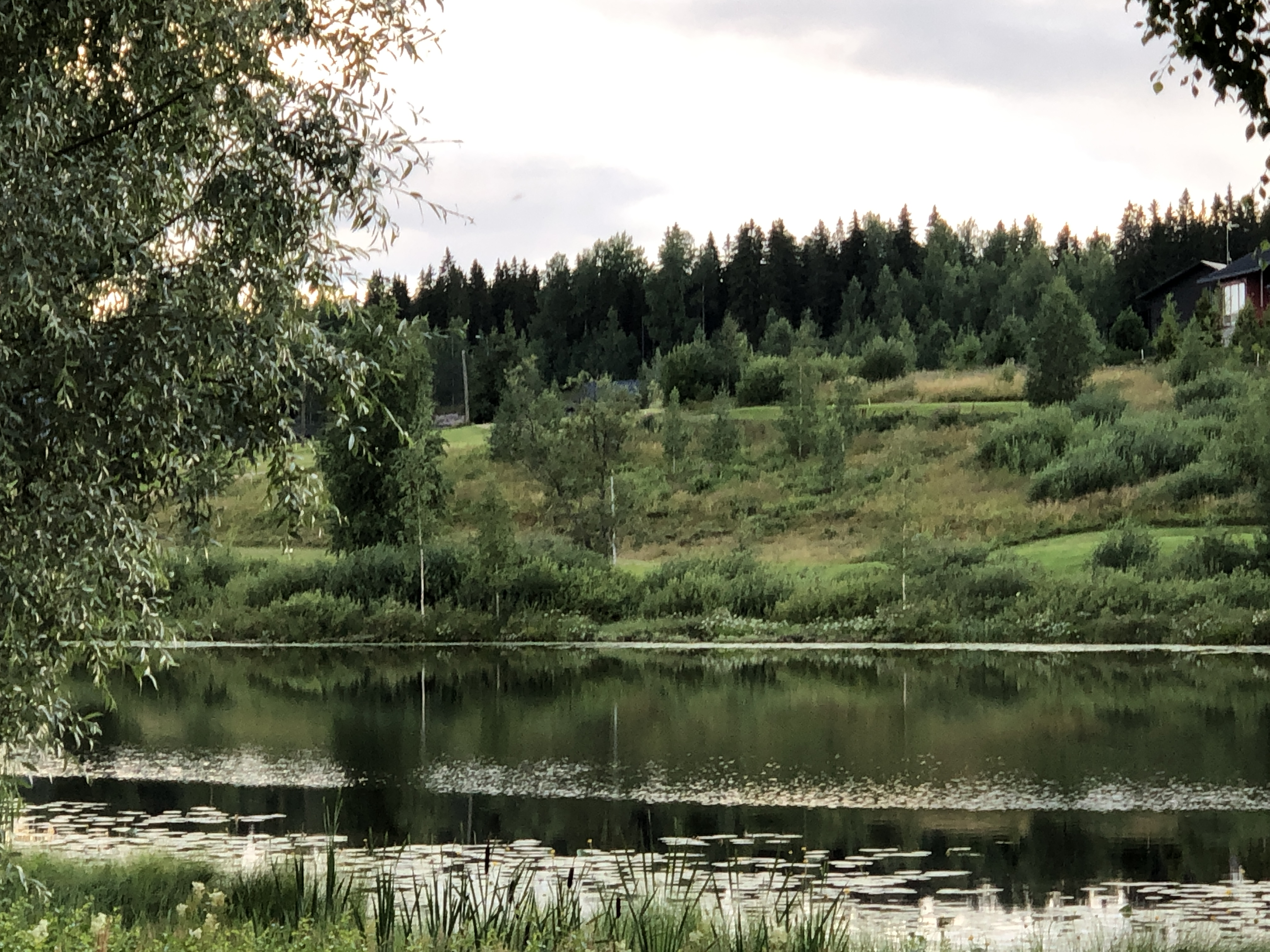 Kuolemajärvi (Jämsä, Tyry) – Wikipedia