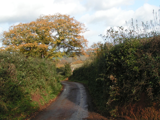 File:Lane to Whiteheathfield Barton - geograph.org.uk - 1589115.jpg