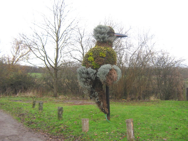 Living Green Woodpecker sculpture Wynyard Woodland Park - geograph.org.uk - 1623641