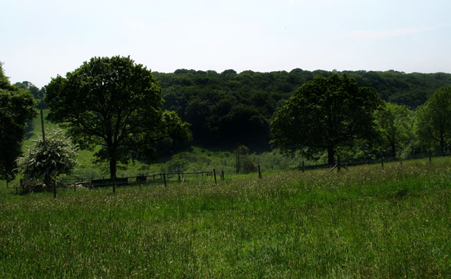 File:Looking South from Blackberry Camp - geograph.org.uk - 1328841.jpg