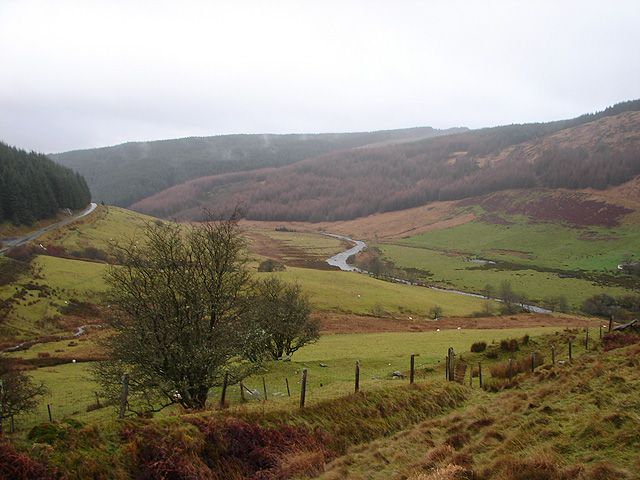 File:Maesnant - geograph.org.uk - 290985.jpg