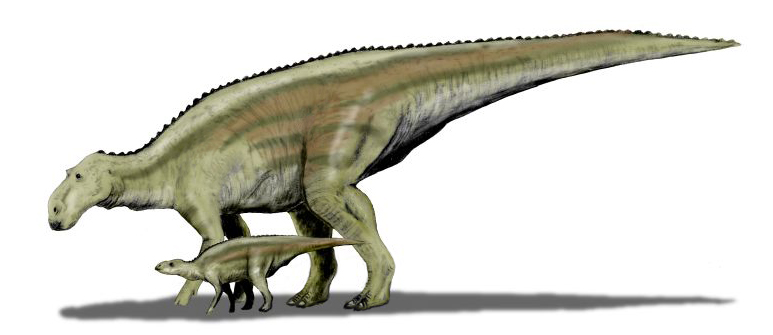 File:Maiasaura BW.jpg