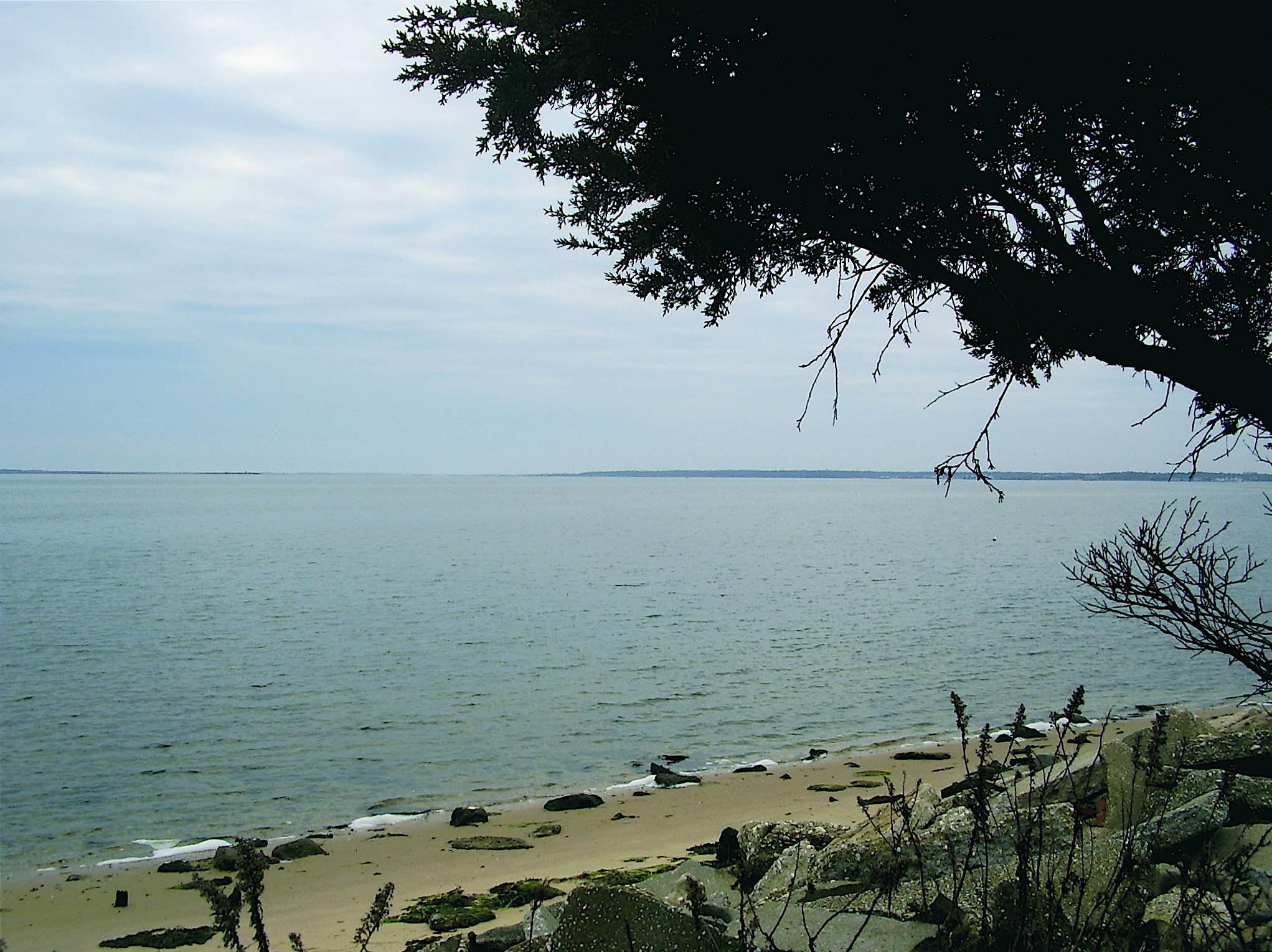 Photo of Moriches Bay
