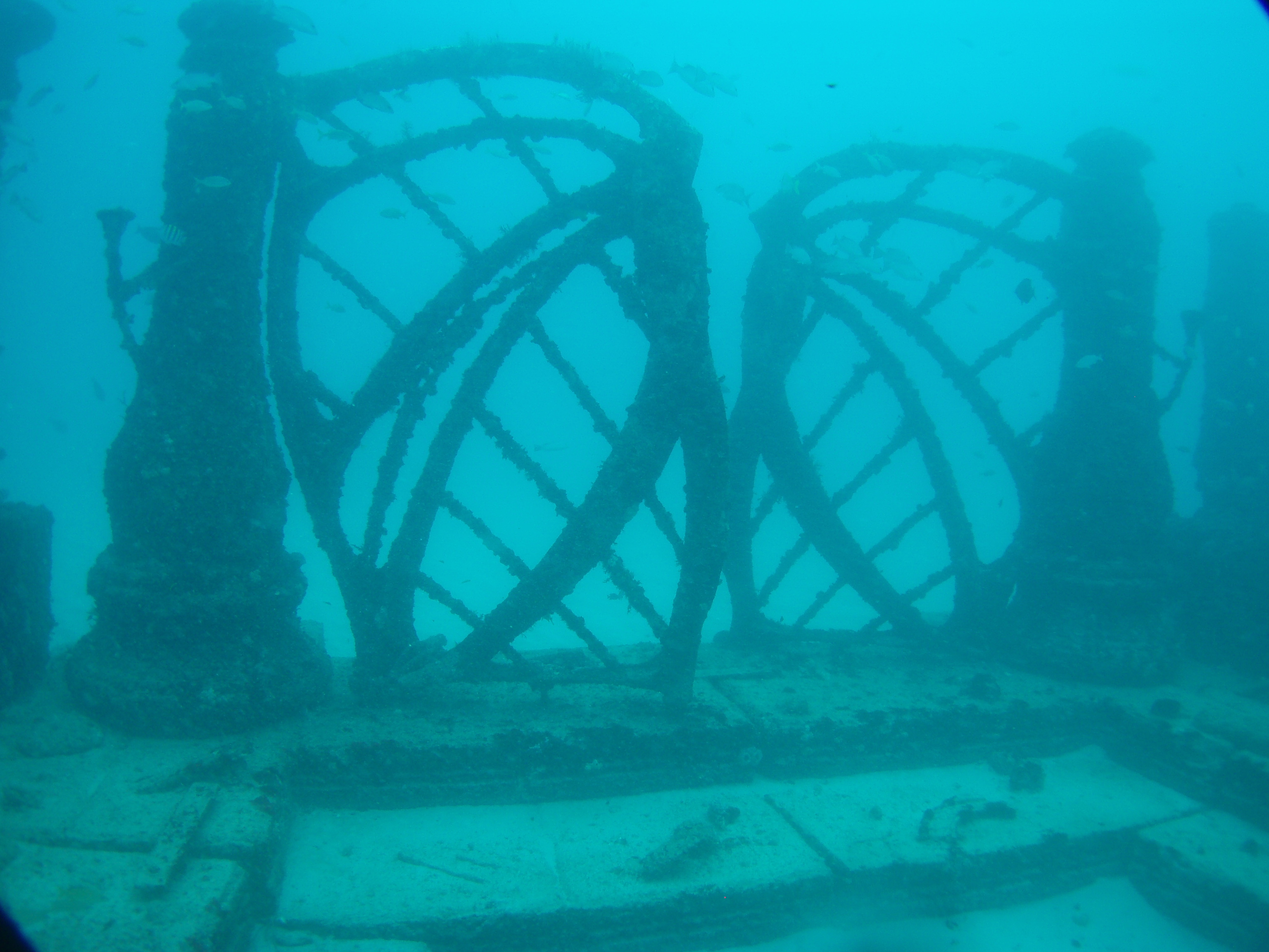 Neptune Memorial Reef Wikipedia