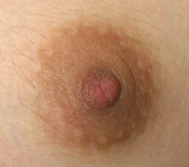 File:Nipple.jpg