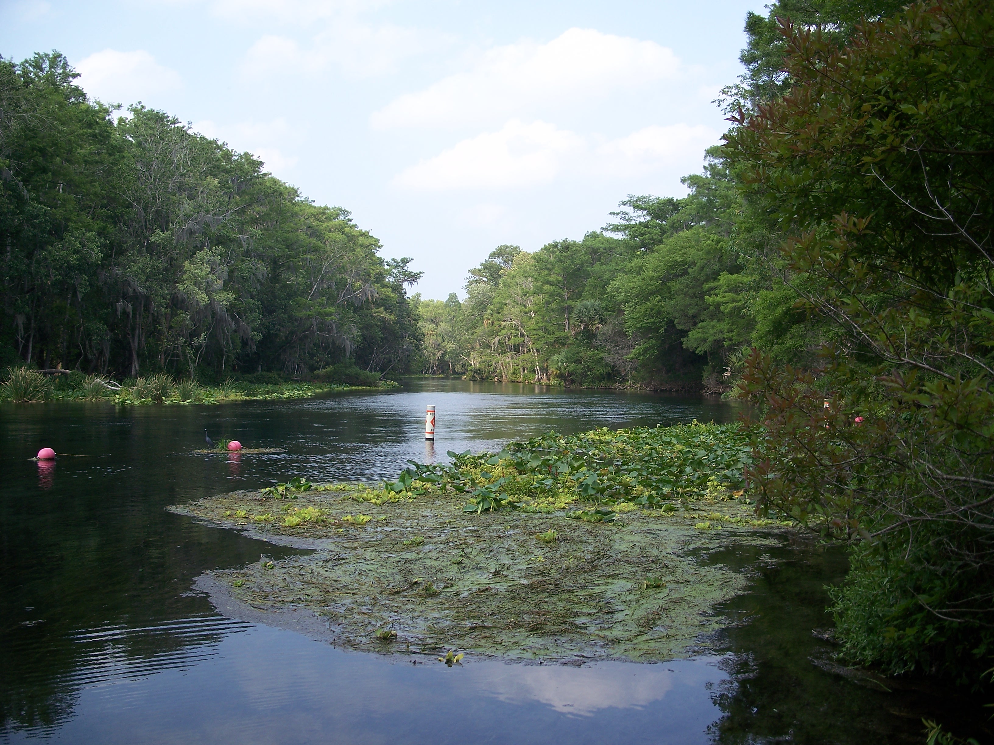 Photo of Silver River State Park