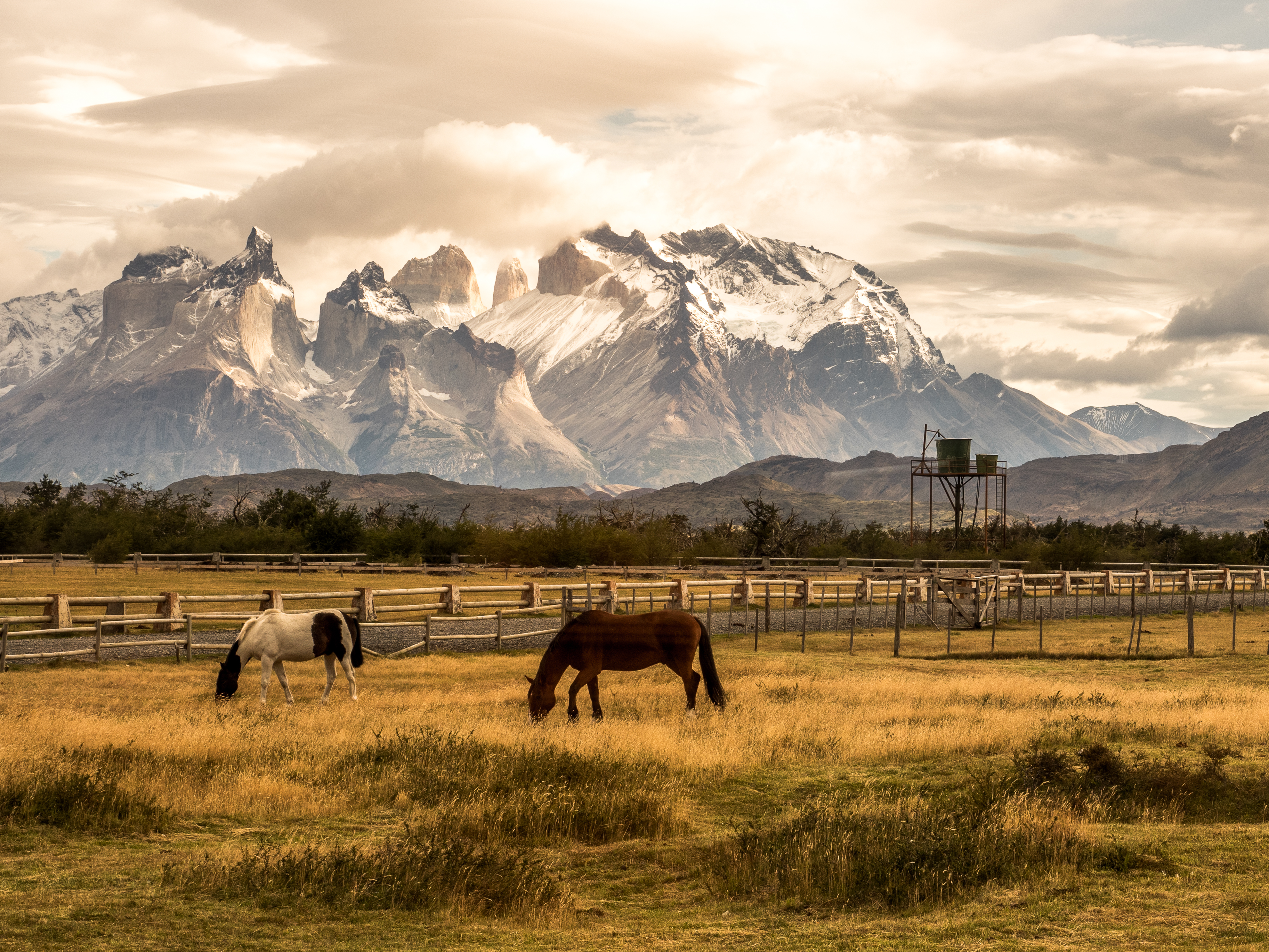 Donde esta patagonia