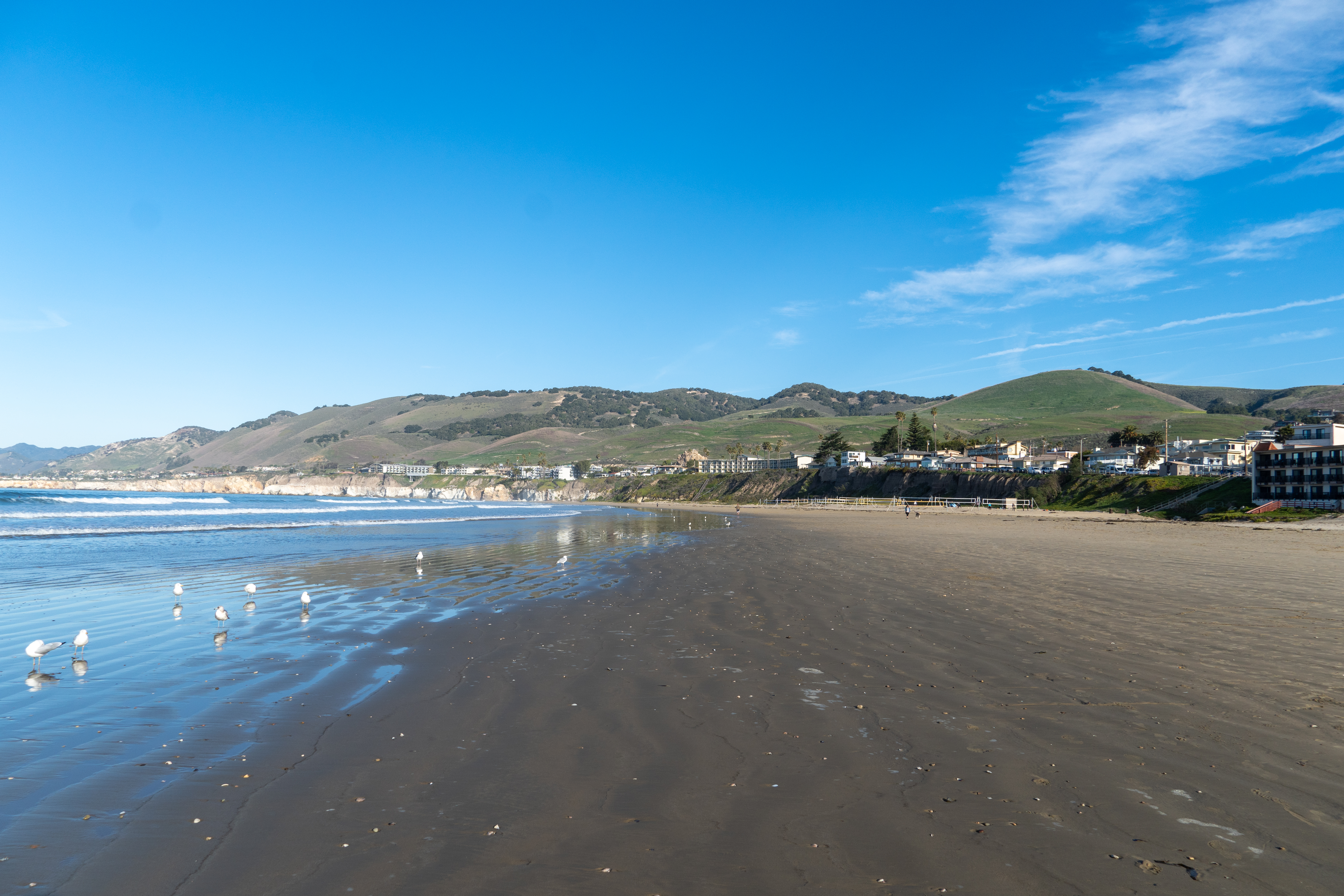 Seal Beach Real Sex - Pismo Beach, California - Wikipedia