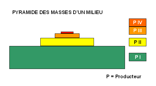 Schéma de la répartition des masses en fonction des niveaux de production dans un milieu