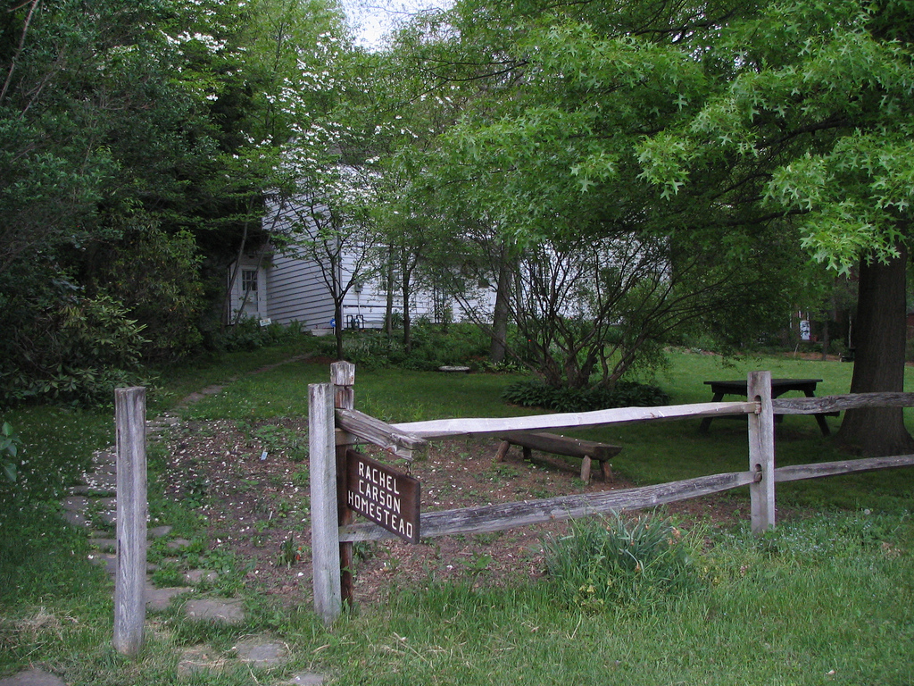 La maison d'enfance de Rachel Carson est aujourd'hui classée, sous le nom de « Rachel Carson Homestead ».