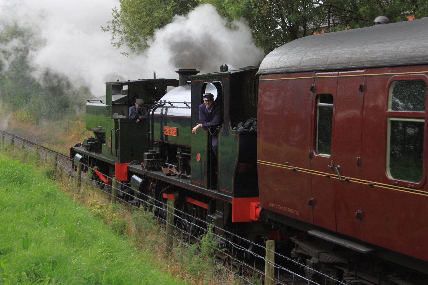 Steam railway 2015 фото 6