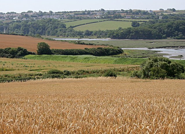 File:River Amble Dam - geograph.org.uk - 202974.jpg