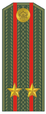 Arvomerkki Venäjän armeijan everstiluutnantin olkahihnassa.