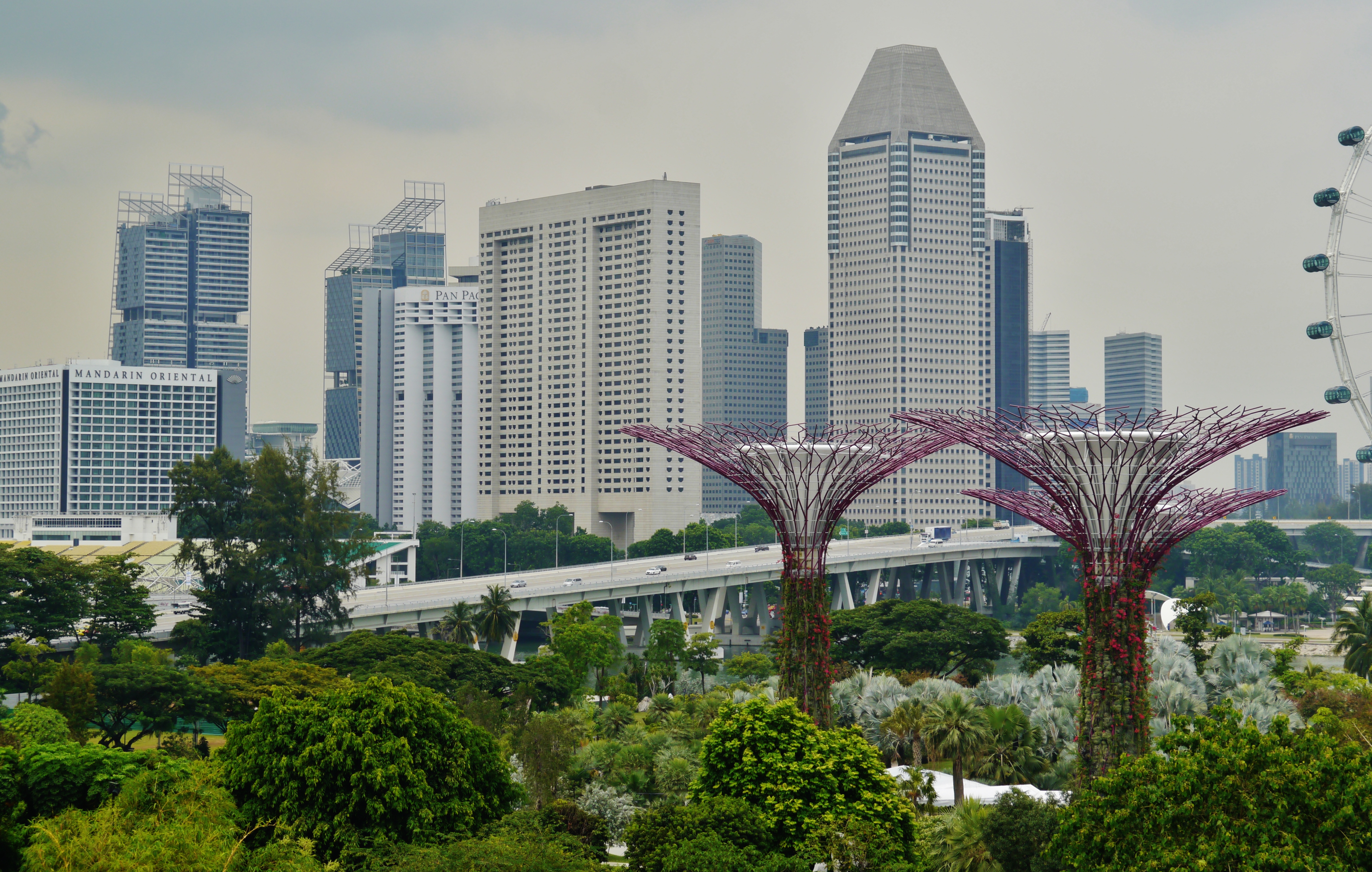 File Singapore Gardens By The Bay 10 Jpg Wikimedia Commons