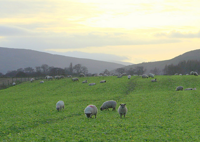 File:Southwesterly view with the Spey valley to the left. - geograph.org.uk - 303054.jpg