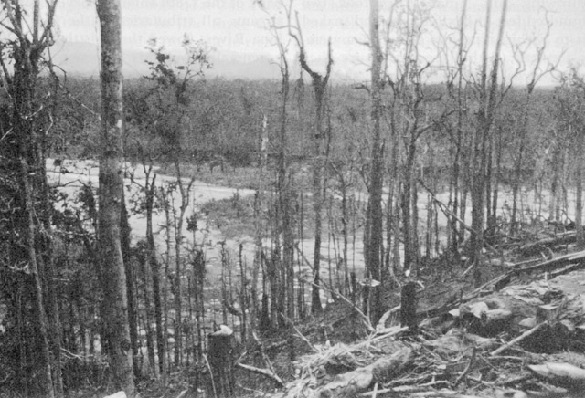 File:Torokina perimeter devastation March 1944.jpg