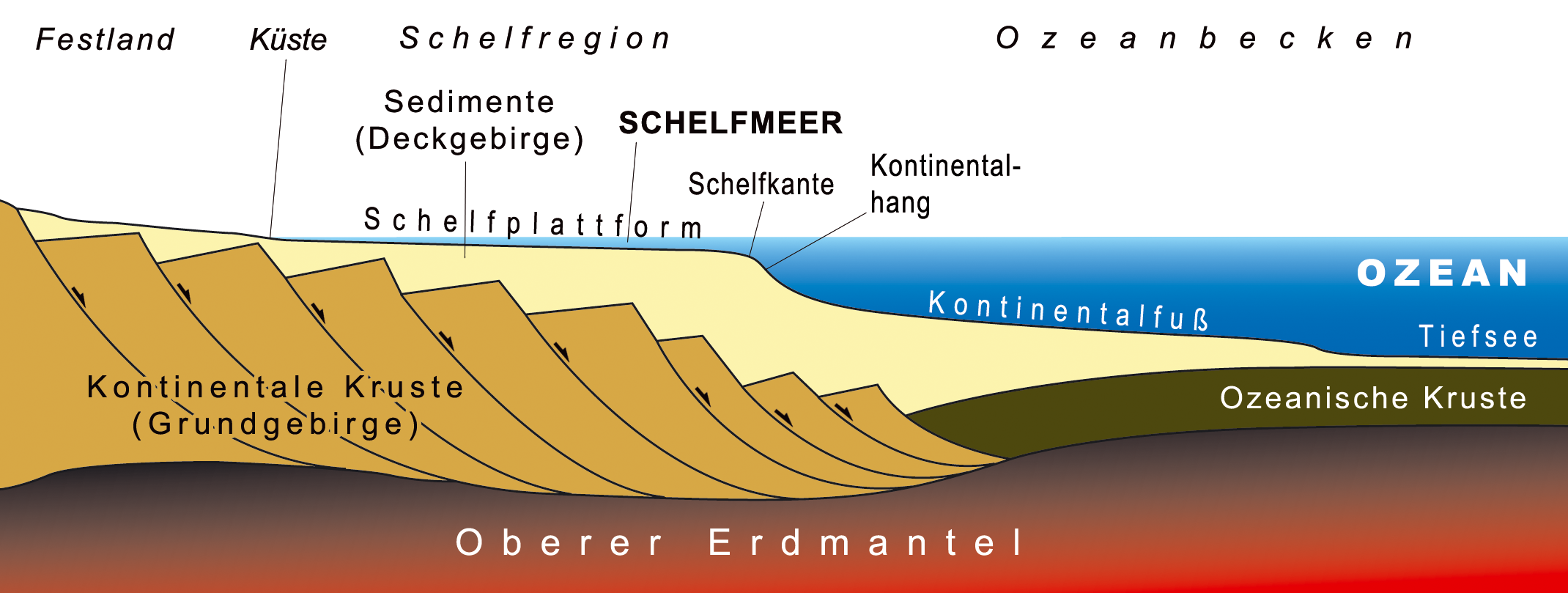 passive margin diagram