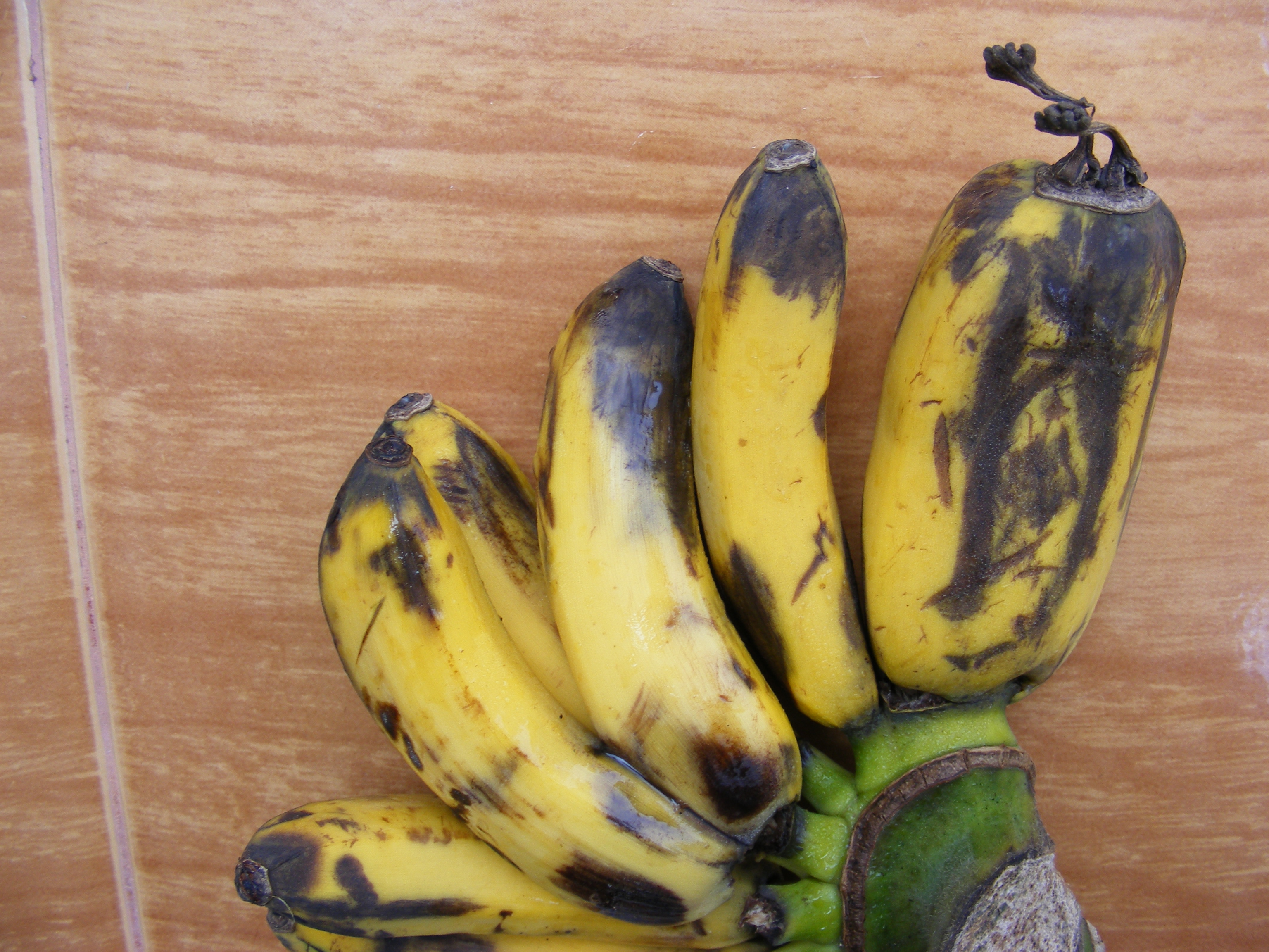 Banana thailand. Таиланд бананы. Baby Banana Fruit.