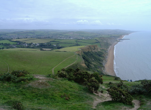 View east, from Thorncombe Beacon - geograph.org.uk - 1454319