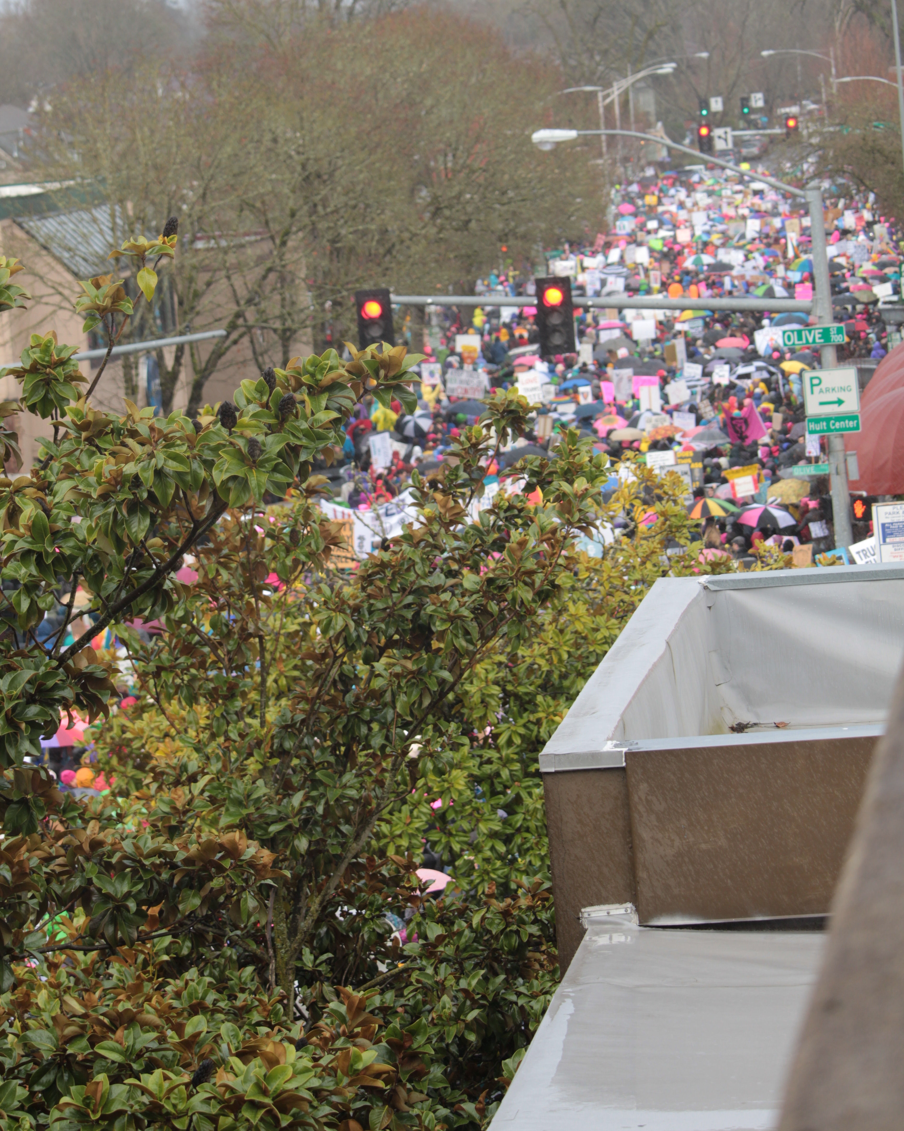 File Women S March Eugene Oregon 1 Jpg Wikimedia Commons