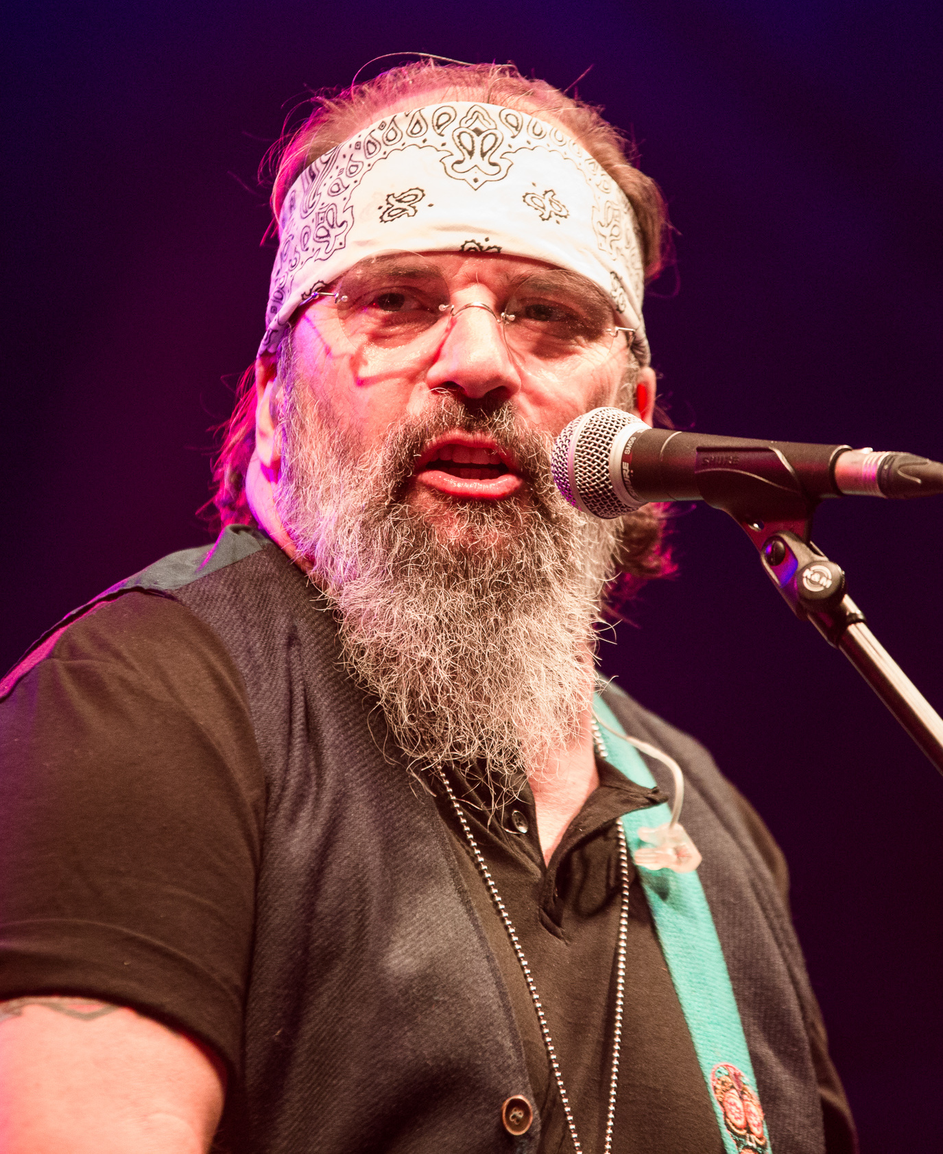 Earle performing at the [[Rudolstadt-Festival]] in 2018