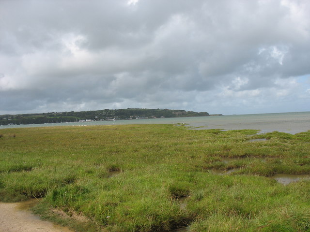 File:A vegetated area projecting out into the bay - geograph.org.uk - 947939.jpg