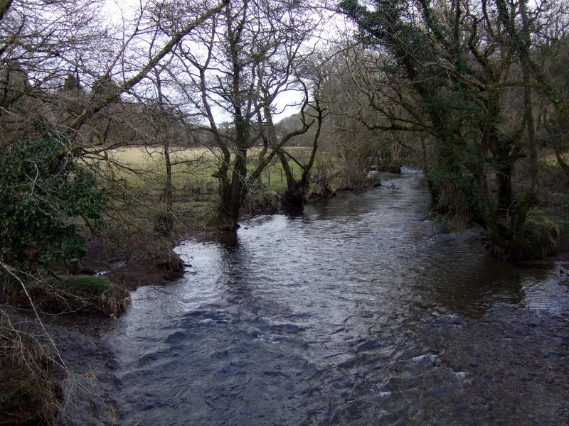 File:Afon Taf below Gwal-y-filiast - geograph.org.uk - 1705281.jpg