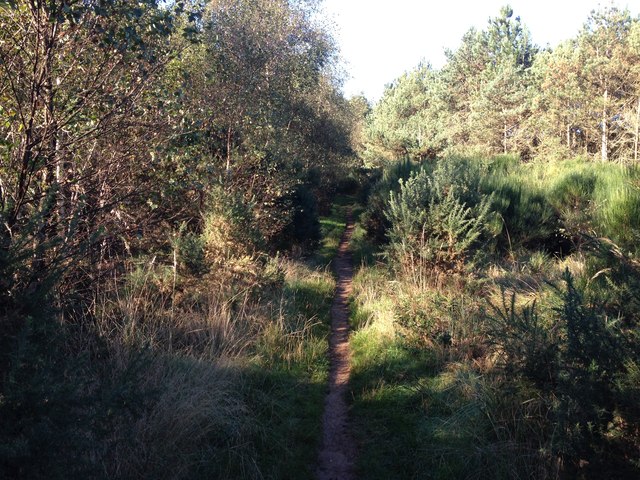 File:Around Old Wavendon Heath - geograph.org.uk - 5147996.jpg