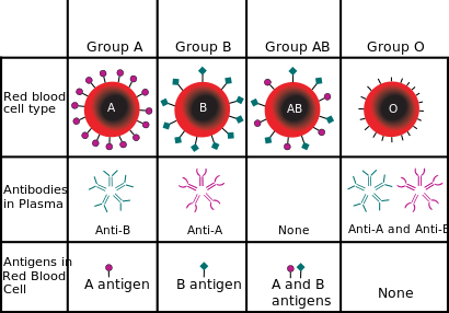 Category:Types of red - Wikimedia Commons