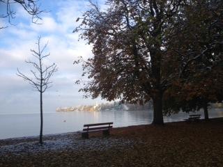 File:Bodensee im Herbst.jpg