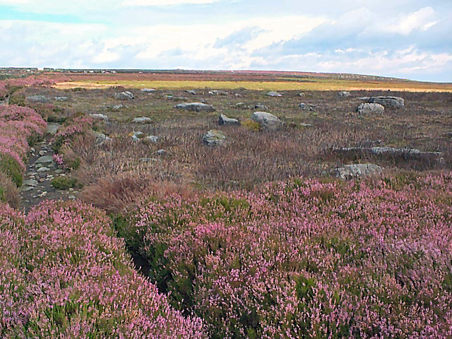 File:Boulder field on Rombalds Moor - geograph.org.uk - 44719.jpg