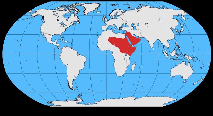 File:Corvus rhipidurus map.jpg