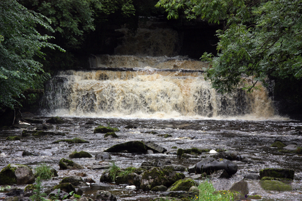 Cotter Force