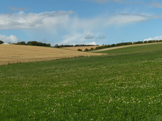 Farmland, Coldborough - geograph.org.uk - 230185