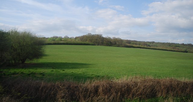 File:Farmland by the Hastings Line - geograph.org.uk - 3614928.jpg