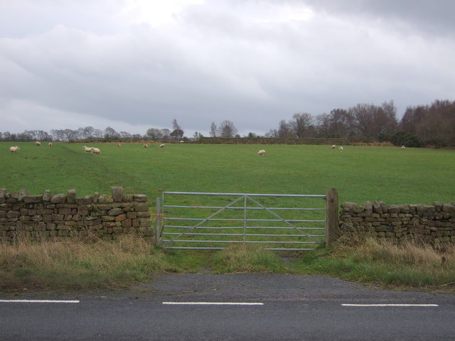 File:Field entrance off Skipton Road (A59) - geograph.org.uk - 5222924.jpg